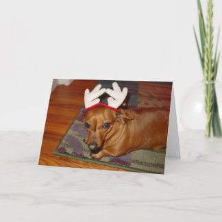 小トナカイ  シーズンカード