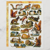 小ビクトリアン動物の胴体 (正面/裏面)