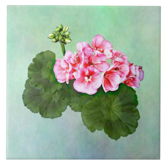 小ピンクゼラニウム タイル (正面)