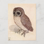 小フクロウ |アルブレヒトデュラー ポストカード (正面)
