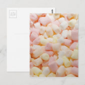 小マシュマロ ポストカード (正面/裏面)