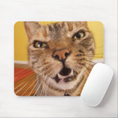 小ユーモアのある猫が椅子に座る マウスパッド (マウス)