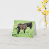 小ロバ カード (黄色い花)