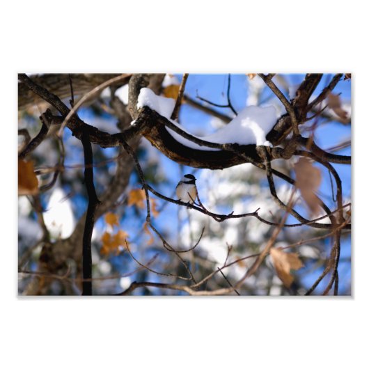 小便で包む フォトプリント            (正面)