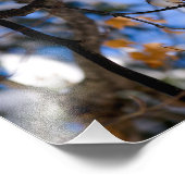 小便で包む フォトプリント            (角)