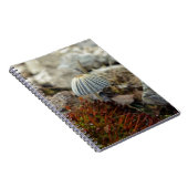 小便 ノートブック (右側)