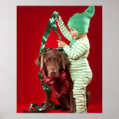 小僧飾は犬だ ポスター (正面)