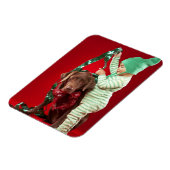 小僧飾は犬だ マグネット (左側)