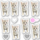 小冬恋しく思 – 猫/子猫 シール (正面)