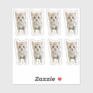 小冬恋しく思 – 猫/子猫 シール