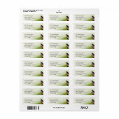 小動物獣医 ラベル (フルシート)