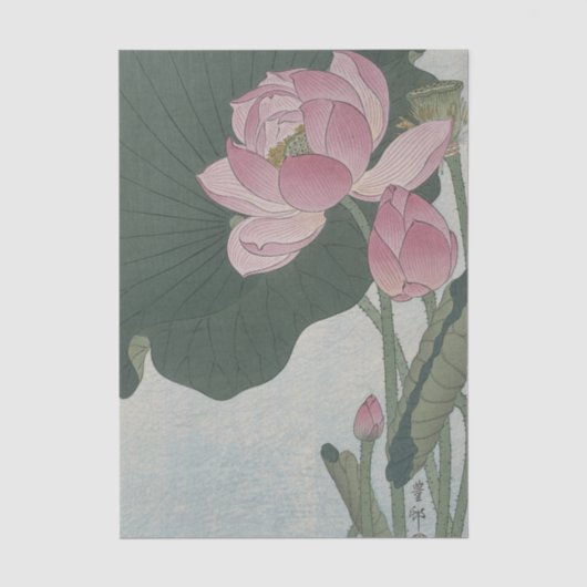小原古邨による蓮の花 薄葉紙 (正面)