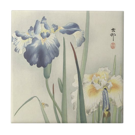 小原古邨のアイリス タイル (正面)