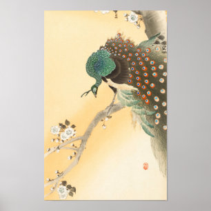 小原古邨の桜の木の孔雀 ポスター