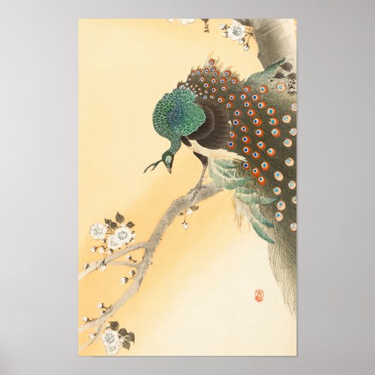 小原古邨の桜の木の孔雀 ポスター (正面)