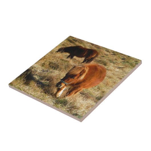 小型の馬の子馬 タイル (側面)