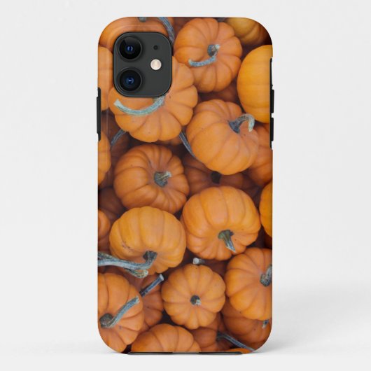 小型カボチャiPhone 5/5sの場合 Case-Mate iPhoneケース (裏面)