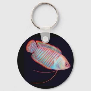 小型グラミーの熱帯魚Keychain キーホルダー
