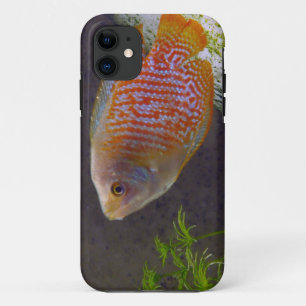 小型グラミーの魚 iPhone 11 ケース