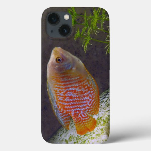 小型グラミーの魚 Case-Mate iPhoneケース (裏面)