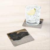 小型シュナウツァーの子犬 スクエアペーパーコースター (インサイチュ)