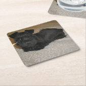 小型シュナウツァーの子犬 スクエアペーパーコースター (アングル)