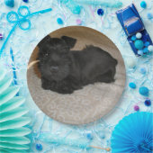 小型シュナウツァーの子犬 ペーパープレート (パーティー)