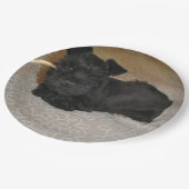 小型シュナウツァーの子犬 ペーパープレート (アングル)