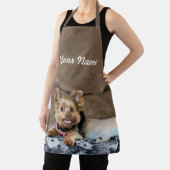 小型ダイナモ エプロン (インサイチュ)