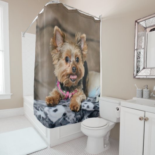 小型ダイナモ シャワーカーテン (インサイチュ)