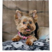 小型ダイナモ シャワーカーテン (正面)