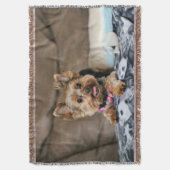 小型ダイナモ スローブランケット (正面縦)