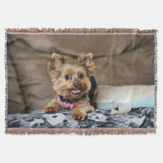 小型ダイナモ スローブランケット (正面)