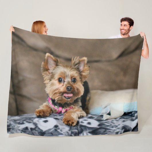 小型ダイナモ フリースブランケット (インサイチュ)