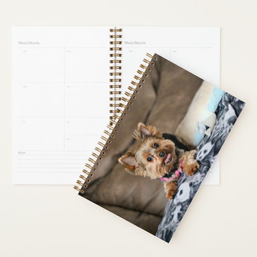 小型ダイナモ プランナー手帳 (ディスプレー)