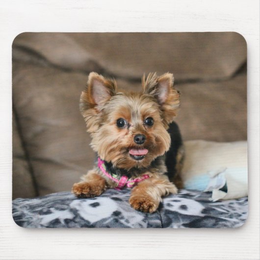 小型ダイナモ マウスパッド (正面)