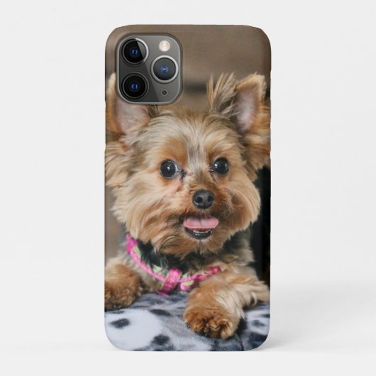 小型ダイナモ Case-Mate iPhoneケース (裏)
