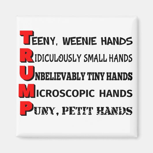 小型ハンズトランプ冷凍機磁石 マグネット (正面)