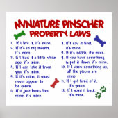 小型ピンシャーPL2 ポスター (正面)