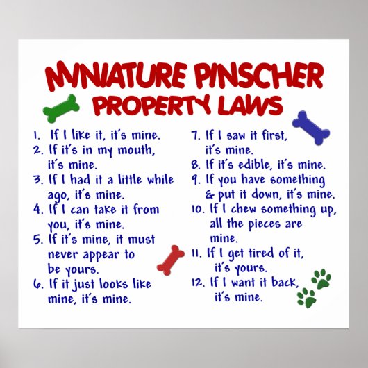 小型ピンシャーPL2 ポスター (正面)