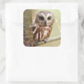 小型ベビーフクロウ |オンタリオ スクエアシール (バッグ)