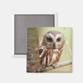 小型ベビーフクロウ |オンタリオ マグネット (正面/裏面)