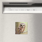 小型ベビーフクロウ |オンタリオ マグネット (インサイチュ (食洗機))