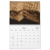 小型マーサ・ルイス：プレースファー&ニア2011 カレンダー (3月 2026)