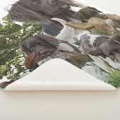 小型ムンスターランダー シェルパブランケット (3/4)