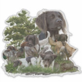 小型ムンスターランダー シール (正面)