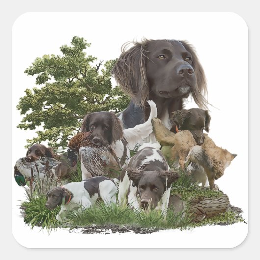 小型ムンスターランダー スクエアシール (正面)