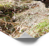 小型乳輸送体 ポスター (角)