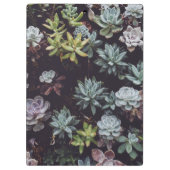 小型多汁性植物の類別 クリップボード (裏面)