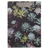 小型多汁性植物の類別 クリップボード (正面)